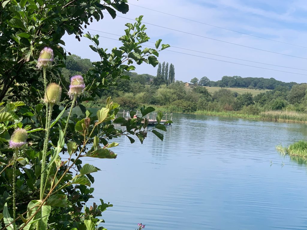 Lake views